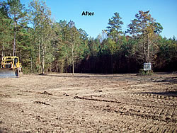 Land clearing - after