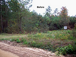 Land clearing - before